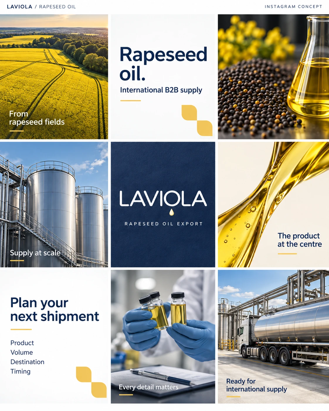 Концепция Instagram Laviola об оптовых поставках рапсового масла: поля, продукт, образцы и логистика.