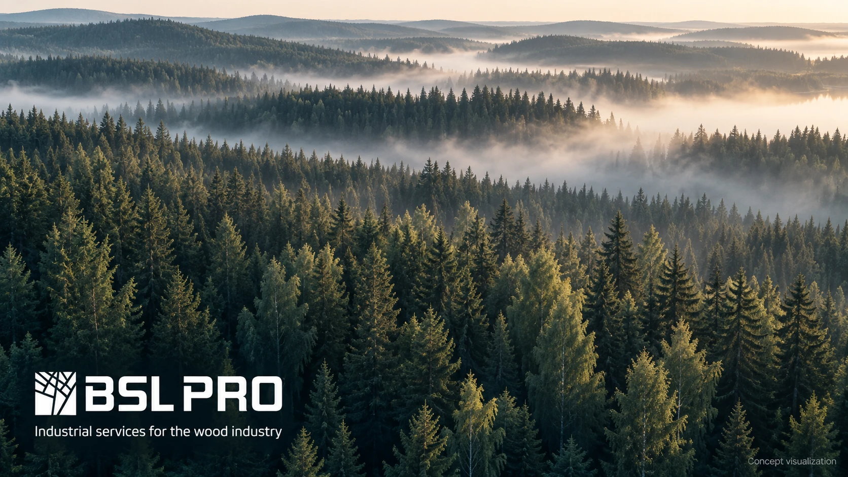 BSL PRO brand visual concept with a white logo and industrial services descriptor over a misty forest.